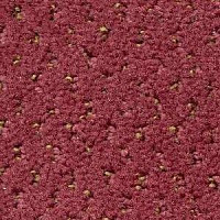 Ковролин Radici Mosaico Melograno 2416 фото 1 | FLOORDEALER